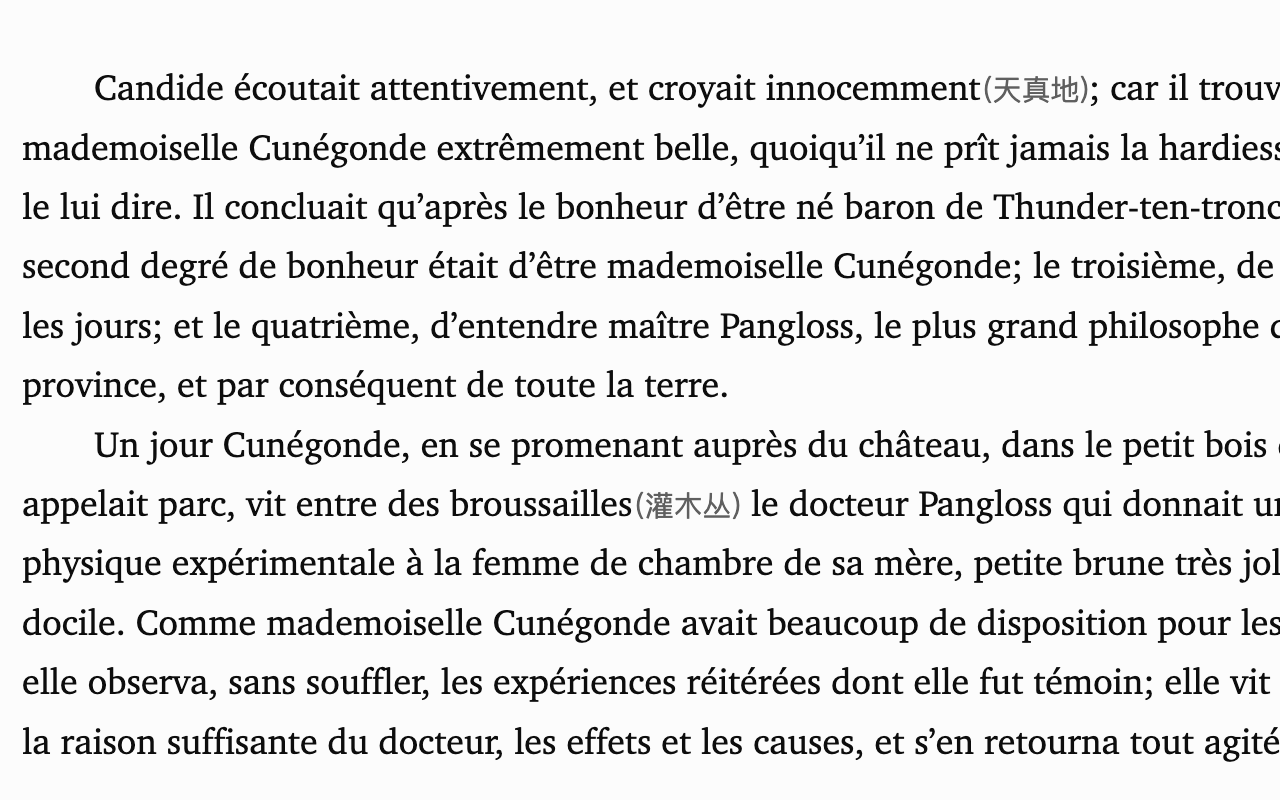 Close-up of the Solaread reader: French book · Chinese glosses